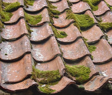 Démoussage et nettoyage de toiture à Montreuil - B.Comperat Couverture en Seine Saint Denis 93